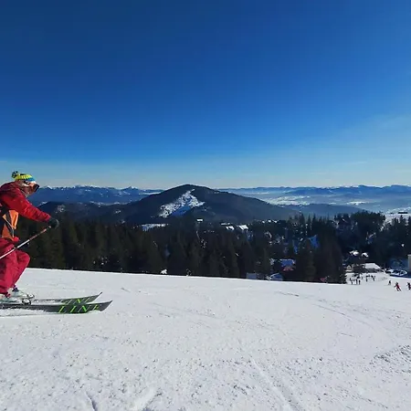 Alpino Geraeumige Am Alpsee Mit Garten Immenstadt im Allgäu