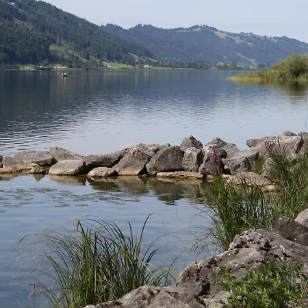 Alpino Geraeumige Am Alpsee Mit Garten Immenstadt im Allgaeu